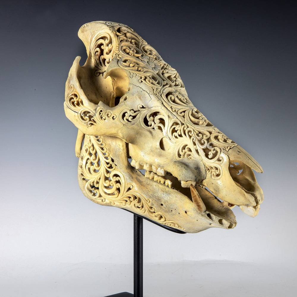 A1900-156 -雕刻的野猪头骨