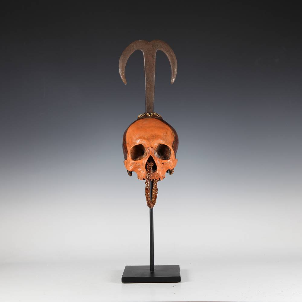 A1900-162  - 祖先奖杯头骨博物馆模型