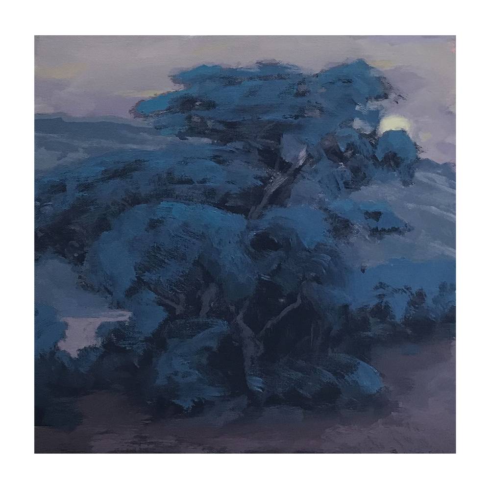 p1900-044  - 蓝色树