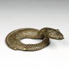 Coiled Snake
