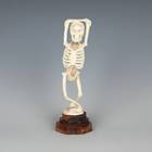 Skeleton on Base - Both Arms on Top of Head