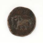 Tipu Sultan Coin，1个棉花，大象主题