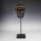 Trophy Skull Museum Model